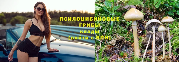 ПСИЛОЦИБИНОВЫЕ ГРИБЫ Балахна