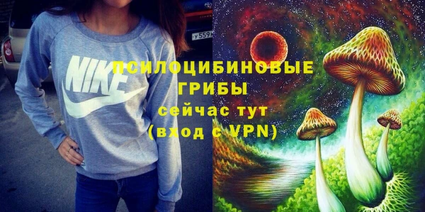 ПСИЛОЦИБИНОВЫЕ ГРИБЫ Балахна