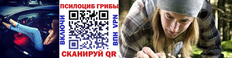 Галлюциногенные грибы Cubensis кракен ССЫЛКА Семикаракорск цена